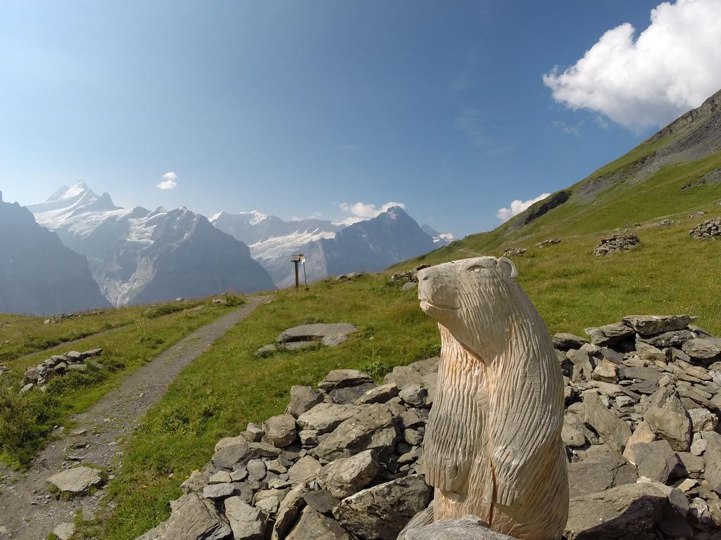 Apartamento Almis Sunna Grindelwald Exterior foto